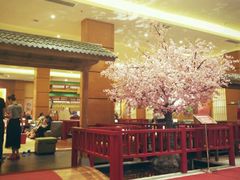 -大江户·温泉洗浴(浑南店)