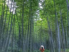 -黄公望隐居地