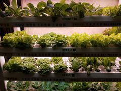 -澳门豆捞(裕华东路店)