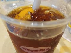 -哈根达斯(石家庄北国店)