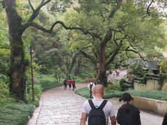 -普陀山风景名胜区-法雨禅寺