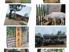 -白鹿原影视城