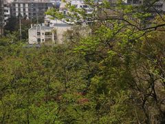 -桂林独秀峰王城景区