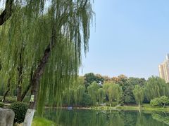 -后襄河公园