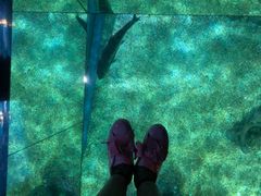 -暹罗海洋世界