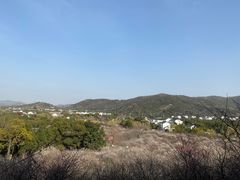 -香雪海