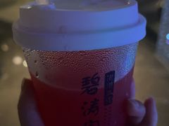 -碧涛阁·泡泡海洋·汤泉洗浴(王府花园店)