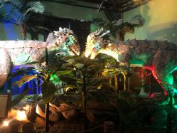 -恐龙探索乐园(磁器口店)