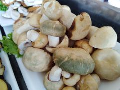 -野菌皇海景野生菌火锅(滨海大道店)