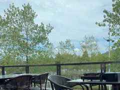 -宝荣鱼馆·临湖之宴(千岛湖店)