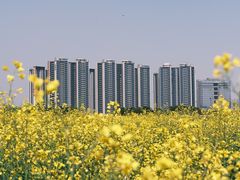 -光明小镇欢乐田园