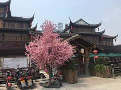 -二十八里太湖船菜(吉祥路店)