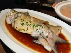 战国武昌鱼-曾宴·楚菜(湖北省博物馆店)