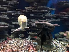 -多彩贵州城极地海洋世界