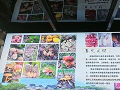 -野菌皇海景野生菌火锅(滨海大道店)