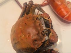 -凤凰园烤鸭店·唐山菜·传承花椒肉(老唐丰路店)