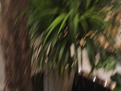 -泰山廊亦舫(丽景店)