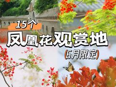 -东山湖公园