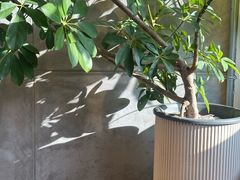 -青莯_Percher Coffee Shop(皮市街店)