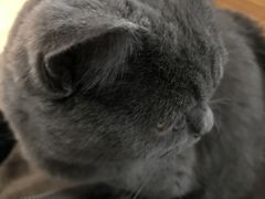 -Rabbit Cafe私房西餐甜点咖啡(栖霞路店)