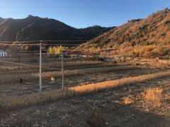 -云岫谷游猎自然风景区