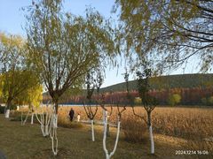 -云龙湖旅游景区