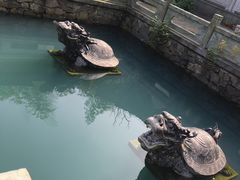 -达蓬山旅游度假区