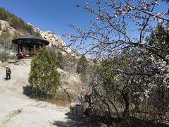 -北京凤凰岭