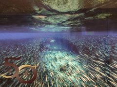 -深圳湾万象城(南山店)