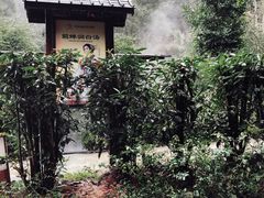 -明月山天沐温泉度假村