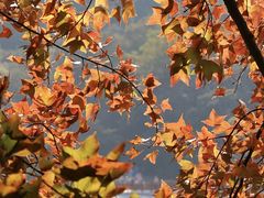 -广州市白云山风景名胜区
