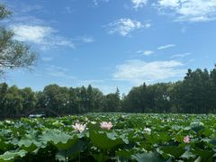 -长兴太湖图影湿地文化园