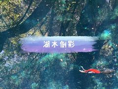 -蝴蝶泉公园