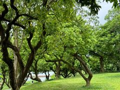 -香山湖公园