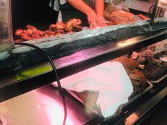 -洪记白水羊头(天坛店)
