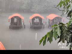 -侨美·唐荔园·40年地道粤菜