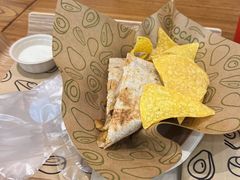 -油梨树 AVOCADO TREE(亮马桥店)