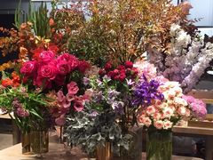 -BEAST野兽派(上海浦东嘉里城店)