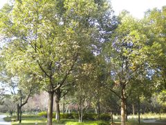DSCN4955-范蠡湖公园