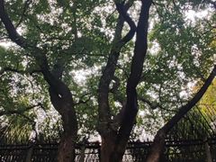 -上海宋庆龄故居纪念馆