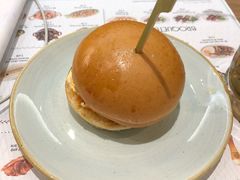 -Tapa Tapa