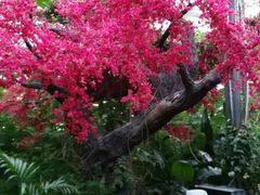 -天源吉布世温泉水乐园