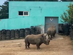 -西霞口神雕山野生动物世界
