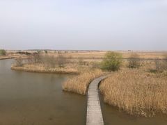 -盐城丹顶鹤湿地生态旅游区