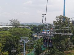 -圣淘沙天际线斜坡滑车