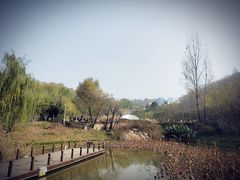-白鹿原影视城