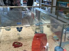 -悠尼宠物·独立低压伊珊娜洗护·美容·寄养(兰谷路店)