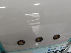 -瑞派长江宠物医院·猫科·外科·24小时夜护(谊城公寓分院)