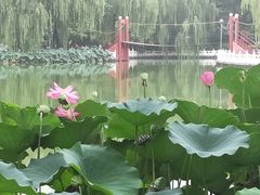 -丰台花园