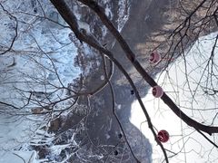 -黑龙潭风景区